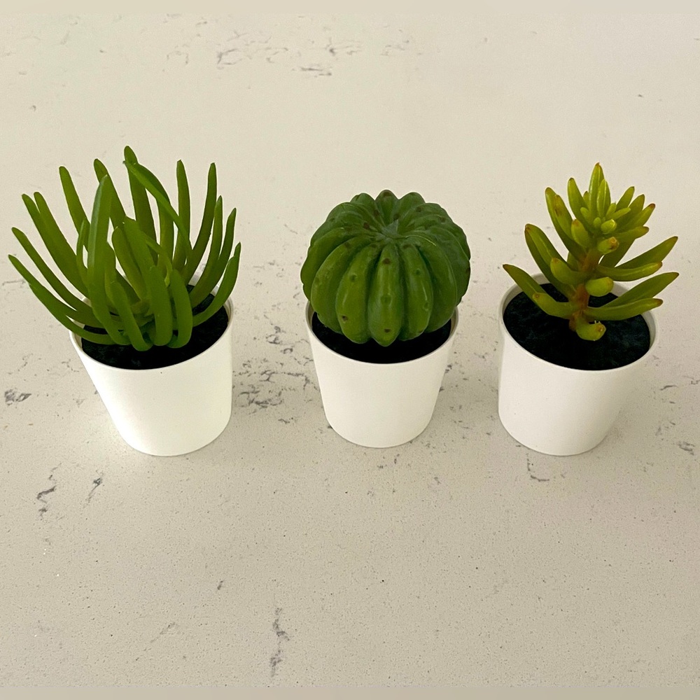Set of Three Green Artificial Succulents in White Pots